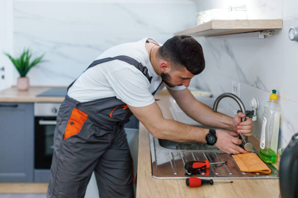 Best Clogged Drain Plumber  in Hermann, MO